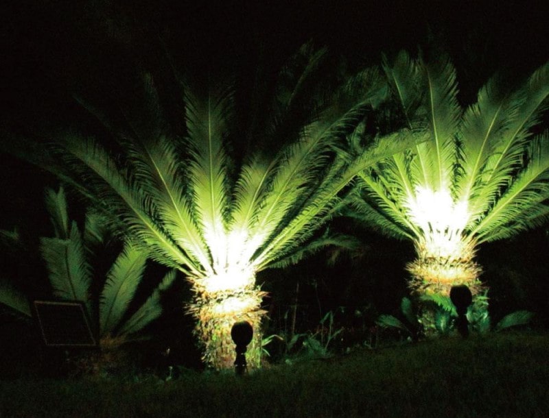 Solar Tree Spot Lights Off 64, Best Solar Spotlights For Palm Trees